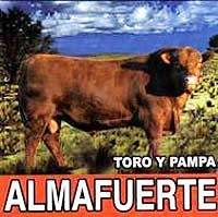 Toro y Pampa