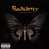 15 / Black Butterfly