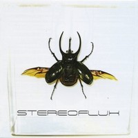 Stereoflux